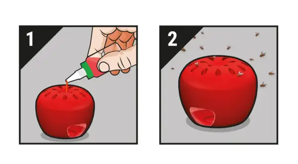 Krok 1: Dodaj płyn do pułapki na muszki owocówki. Krok 2: Muszki owocówki zwabione do pułapki.
