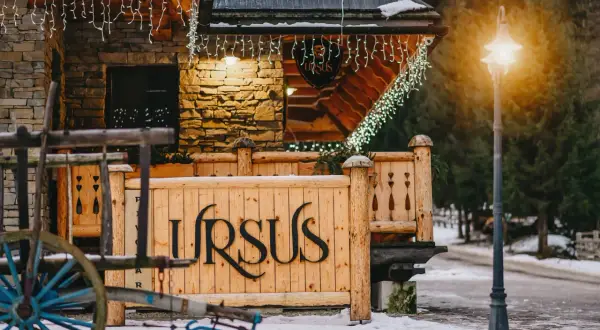 Gdzie kupić piwo Ursus? Sprawdź najlepsze miejsca i ceny