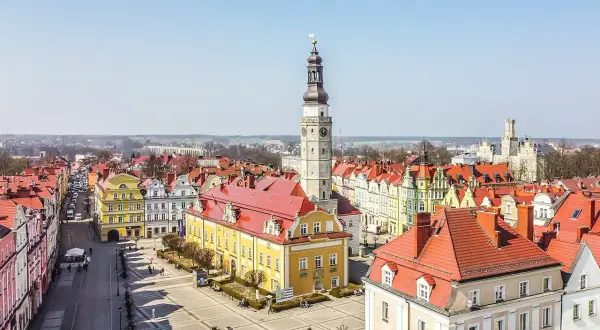 Widok z góry na rynek w Bolesławcu. Dominują kolorowe kamienice z czerwonymi dachami i wysoka wieża ratuszowa.