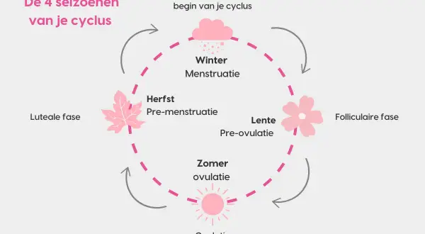 De 4 seizoenen van je cyclus: Winter (menstruatie), Lente (pre-ovulatie), Zomer (ovulatie) en Herfst (pre-menstruatie). Dit toont de cyclus vrouw stemming.