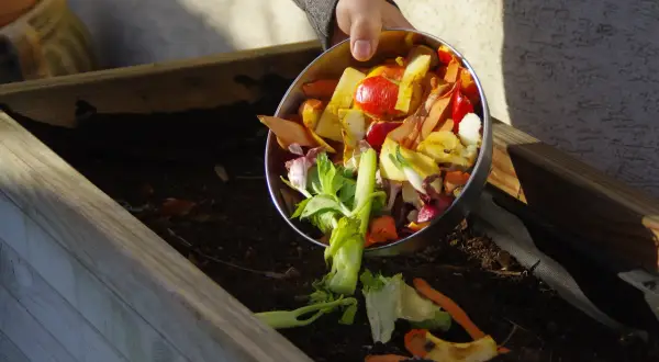 Manos añaden restos de vegetales a un compostador. Aprende como hacer compost con estos ingredientes.