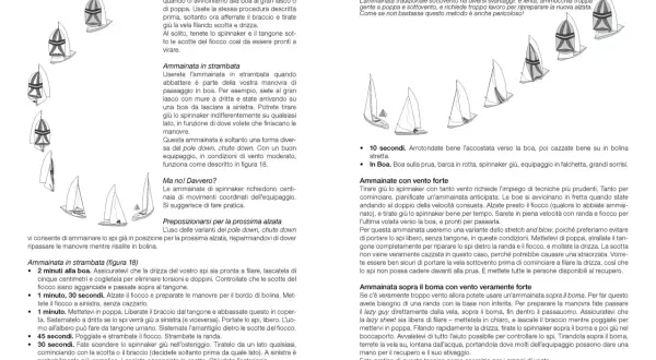 Vele triangolari in manovra: ammainata in strambata e con vento forte.