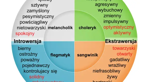 Jakie typy osobowości do siebie pasują? Odkryj tajemnice kompatybilności