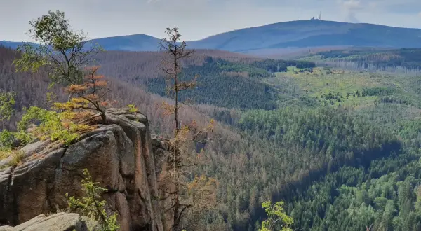 Felsformation an der Rabenklippe im Harz mit Blick auf bewaldete Hügel und den Brocken im Hintergrund.