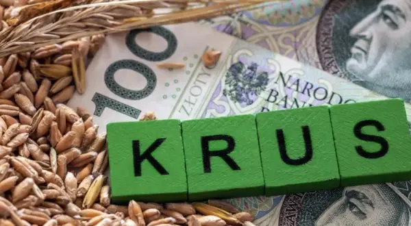 Ile wynosi emerytura rolnicza netto? Sprawdź, co musisz wiedzieć