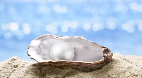 Ostra en la arena con una perla brillante. ¿Cuánto tarda una ostra en hacer una perla? El tiempo varía, pero el resultado es una joya natural.