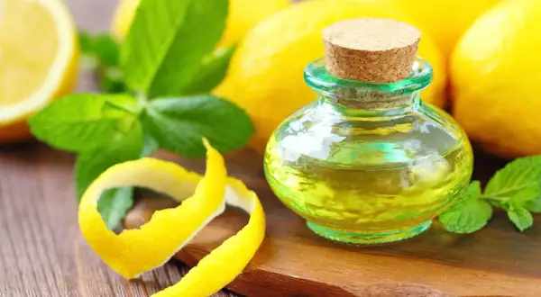 Olio essenziale di limone in una bottiglietta, con scorze di limone e foglie di menta. Il limonene cos'è? È il componente principale di questo olio profumato.