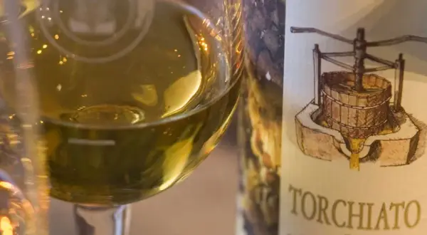 Calice di vino bianco dorato accanto a una bottiglia con etichetta che raffigura un torchio e grappoli d'uva, evocando il sapore del torchiato di fregona.
