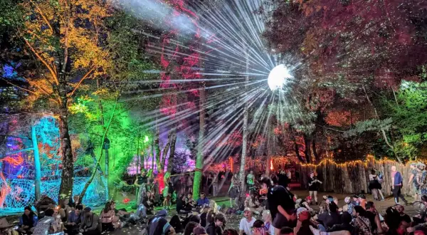 Bunte Lichter und ein Discoball erhellen den Wald, während eine Menge auf dem Boden sitzt. Das ist die Magie des Fusion Festival Lineups!