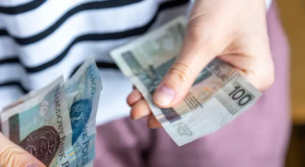 Ręce liczą banknoty 100 zł. Czy za mieszkanie komunalne się płaci? Tak, czynsz jest obowiązkowy.