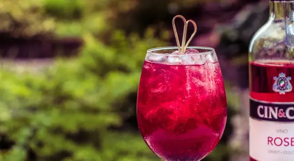 Najlepsze drinki z różowym ginem, które zachwycą Twoich gości