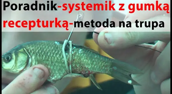 Skuteczne metody zbrojenia trupka na sandacza, które przyciągają ryby