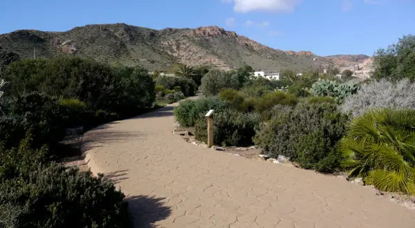 Camino sinuoso en el jardín botánico Rodalquilar, rodeado de vegetación mediterránea y montañas al fondo.