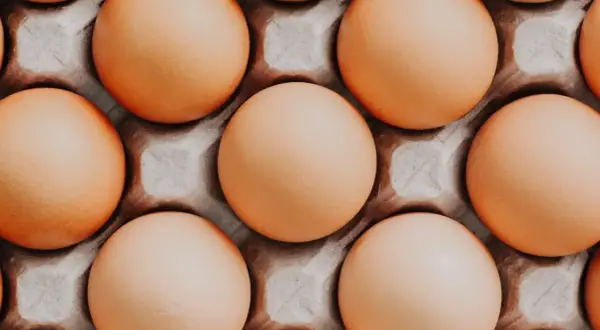 Pies i jajko na twardo: Superfood czy zagrożenie? Sprawdź!