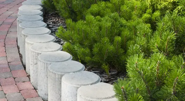 Okrągła palisada betonowa oddziela ścieżkę z kostki brukowej od bujnej zieleni iglaków.