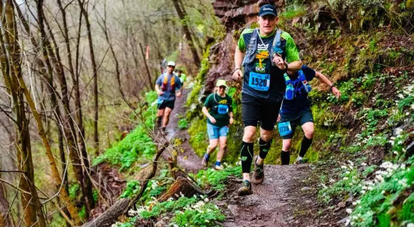 Des coureurs s'attaquent à un sentier de course en pleine nature, entourés de verdure et de fleurs sauvages.