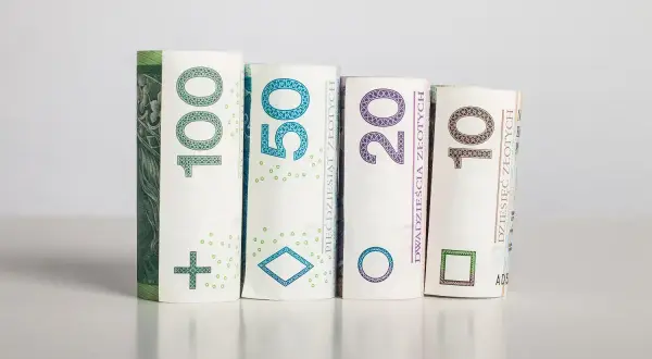 Zrolowane banknoty 100, 50, 20 i 10 złoty symbolizują potencjalną rentowność inwestycji.