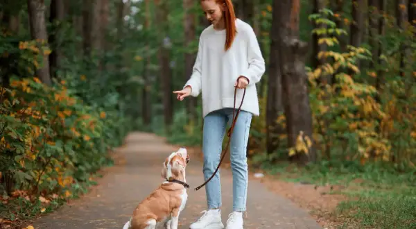 Ruda dziewczyna ćwiczy z psem na smyczy w jesiennym lesie. Piesek siedzi i patrzy na nią z uwagą.