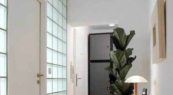 Moderne Diele mit einer Wand aus glasbausteinen verlegen, die viel Licht hereinlässt. Eine Tür und eine große Zimmerpflanze ergänzen den Raum.