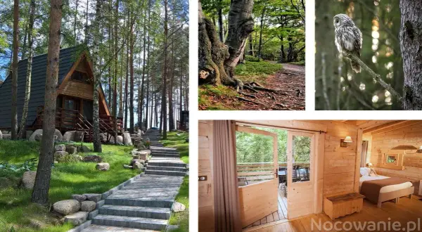 Podlasie: Domek nad jeziorem? Znajdź idealny wypoczynek!