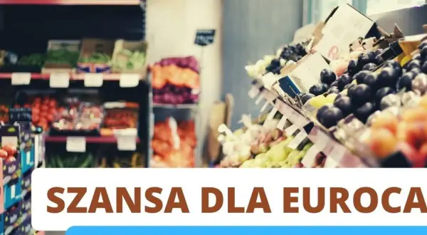 Szeroki wybór świeżych owoców i warzyw w sklepie, sugerujący potencjalne zyski dla eurocash akcje.