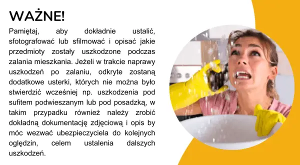 Terminy zgłoszenia szkody po zalaniu: Jak nie stracić odszkodowania?