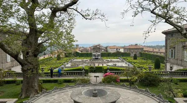 Giardini rinascimentali di Villa Lante della Rovere, con fontane, siepi geometriche e un grande albero in primo piano.