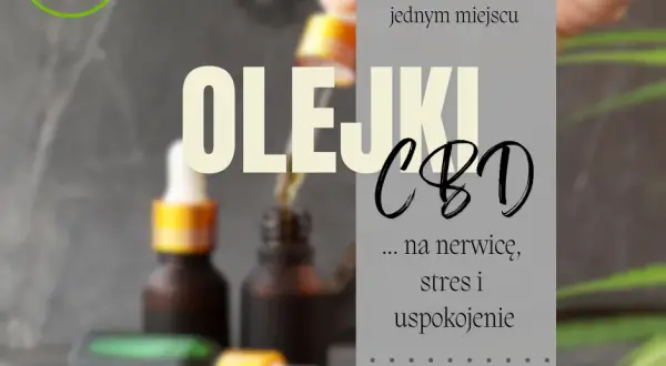 Co to są olejki CBD? Poznaj ich właściwości i zastosowanie w zdrowiu