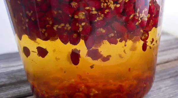 Wino z dzikiej róży przepis: czerwone owoce w bursztynowym płynie, gotowe do fermentacji.