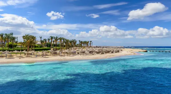 Piękna plaża z palmami i leżakami, idealna na wycieczki fakultatywne w Marsa Alam.