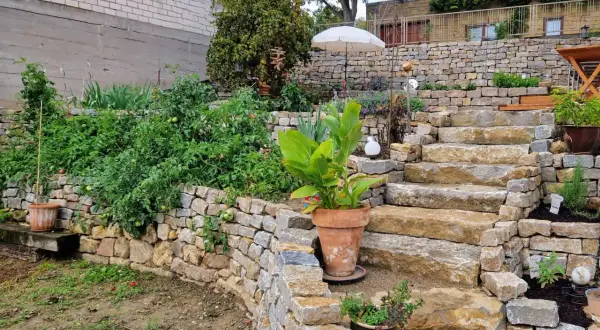 Ein Garten mit üppigen Tomatenpflanzen, begrenzt von einer niedrigen trockenmauer ohne fundament. Steintreppen führen zu einem Terrassenbereich.