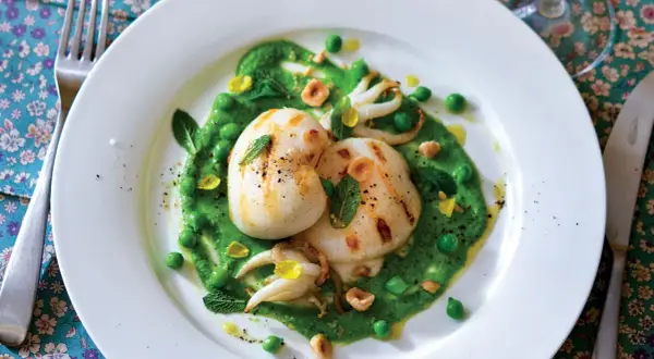 Deliziosi seppie alla griglia su un letto di crema di piselli, guarnite con menta fresca e nocciole tostate.