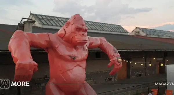 Pomarańczowa, gigantyczna małpa z tatuażami na klatce piersiowej i ramieniu, jakby przygotowana do walki na czeluść festiwal.