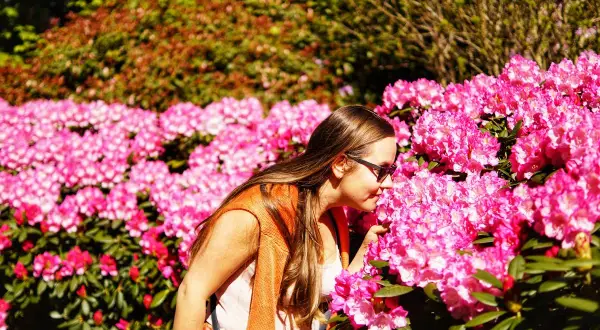 Kiedy jechać do arboretum Wojsławice, aby zobaczyć najpiękniejsze kwiaty?