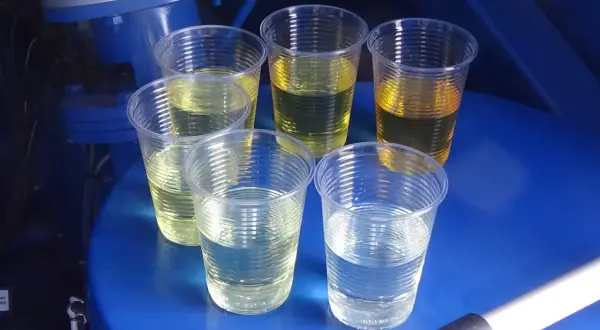 Próbki płynów w kubeczkach, niektóre żółte, inne klarowne. Może to być test porównawczy przed zastosowaniem ceramizera, by uniknąć jego wad.