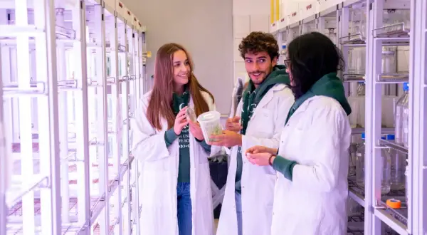 Studenci w fartuchach w stajni dydaktycznej SGGW analizują rośliny w laboratorium.