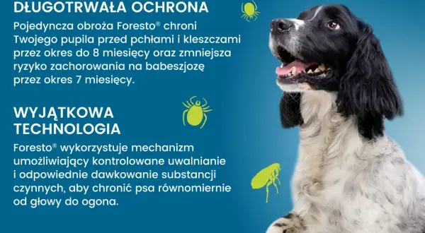 Obroża Foresto® działa dzięki mechanizmowi kontrolowanego uwalniania substancji, chroniąc psa przed kleszczami i pchłami do 8 miesięcy.
