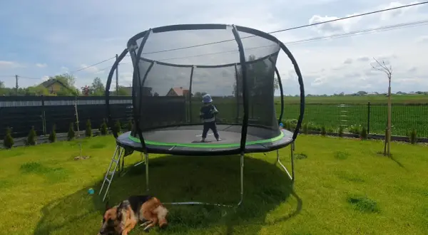 Dziecko w czapce na trampolinie, pies odpoczywa na trawie. Czas na wesołe zabawy na trampolinie w ogrodzie.