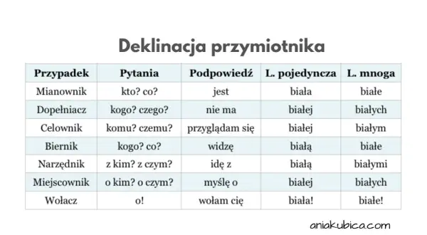 Tabela pokazuje, na co odpowiada przymiotnik w różnych przypadkach języka polskiego, np. "biała" w mianowniku.