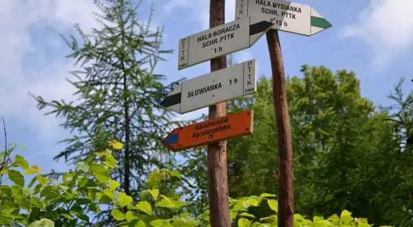 Rozdroże szlaków PTTK. Widać drogowskazy na Halę Boraczą, Halę Rysiankę, Słowiankę i Abrahamów Agroturystyka.
