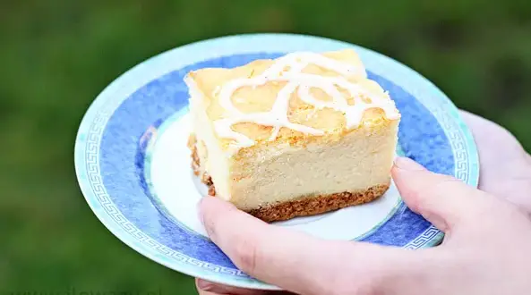 Ile waży blacha sernika? Od 2,5 do 4 kg co musisz wiedzieć?