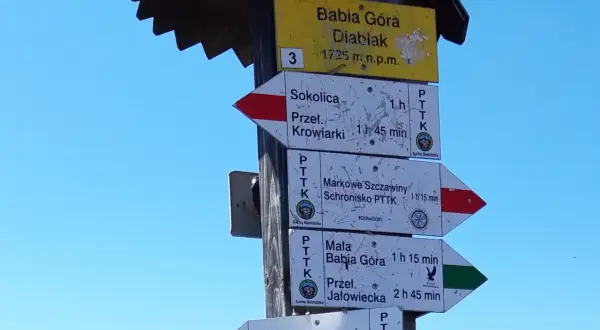 Szlak na Babią Górę. Znaki PTTK wskazują drogę na Diablak, Sokolicę, Markowe Szczawiny i Małą Babią Górę.