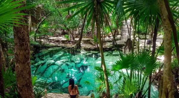 Una mujer se sienta junto a un cenote de agua cristalina en la selva de México, rodeada de exuberante vegetación y palmeras.