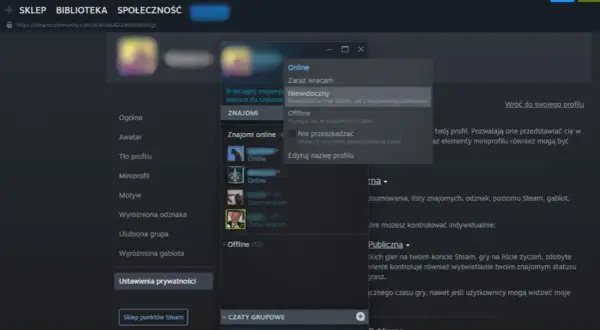 Okno Steam z opcjami statusu: Online, Zaraz wracam, Niewidoczny, Offline, Nie przeszkadzać.