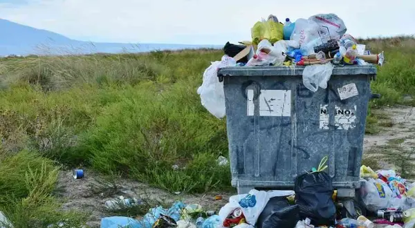 Gdzie zgłosić brak wywozu śmieci? Sprawdź, jak szybko rozwiązać problem