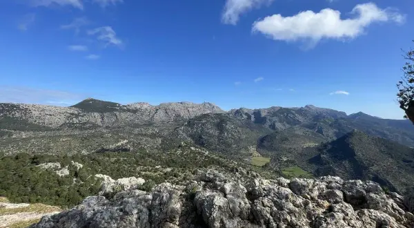 Mallorcas höchster Berg: Puig Major & die besten Wander-Alternativen