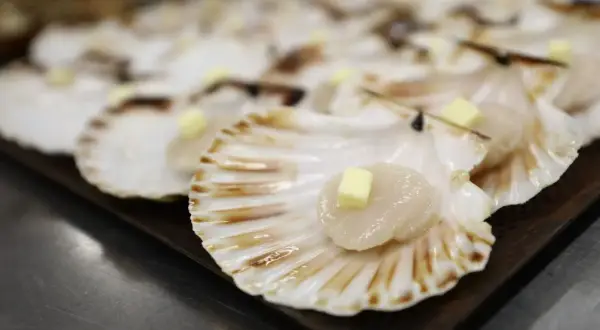 Coquilles Saint-Jacques prêtes à être cuisinées, chacune garnie d'un cube de beurre.