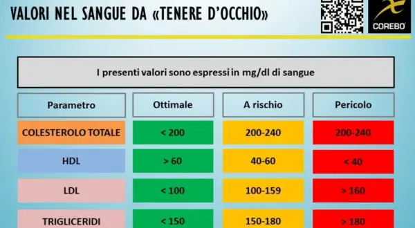 Tabella valori sangue: colesterolo totale, HDL, LDL, trigliceridi. Indica livelli ottimali, a rischio e pericolosi per monitorare il rapporto colesterolo totale e HDL.