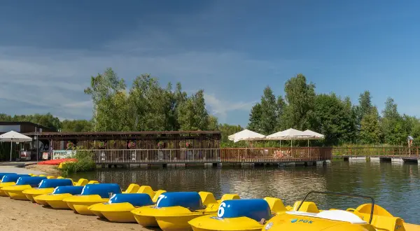 Żółte rowerki wodne czekają na plaży nad zalewem żyrardowskim. W tle drewniana kładka i zielone drzewa.