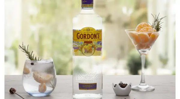Gordon's alkohol: butelka ginu, drink z mandarynką i rozmarynem, kieliszek z mandarynką i rozmarynem, miseczka z jałowcem.